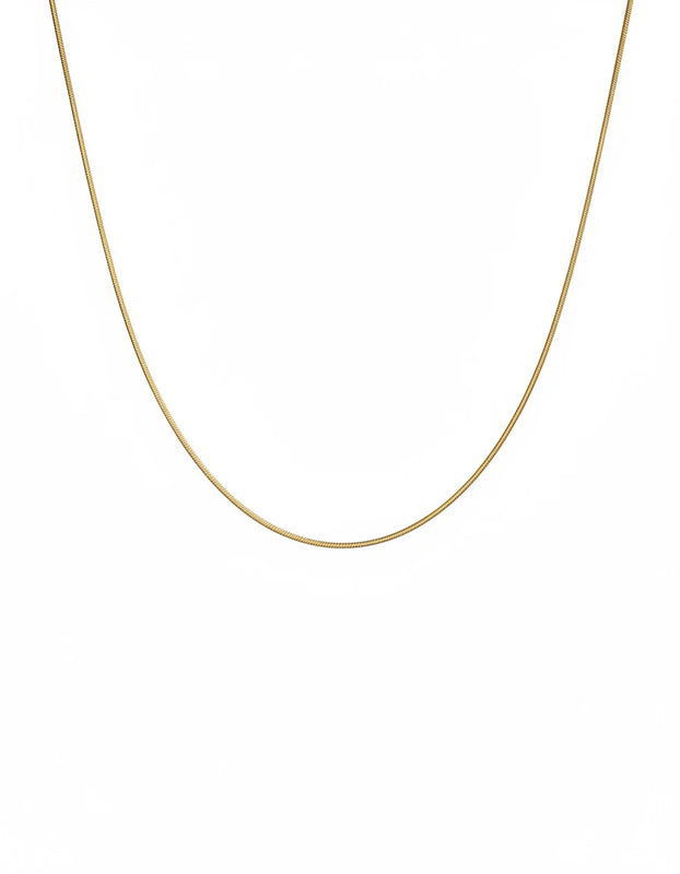 C COLA DE RATON DIAMANTADA 65CM